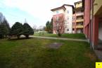 3233779