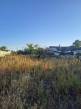 3235293