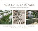 3236242